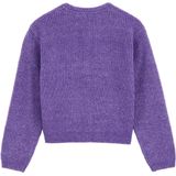 WE Fashion - Gebreid Vest - Lila - Normale Pasvorm - Lange Mouw