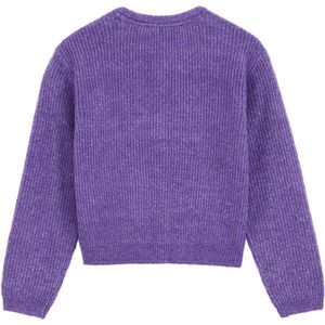 WE Fashion - Gebreid Vest - Lila - Normale Pasvorm - Lange Mouw
