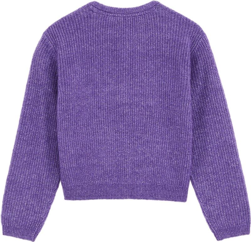 WE Fashion - Gebreid Vest - Lila - Normale Pasvorm - Lange Mouw