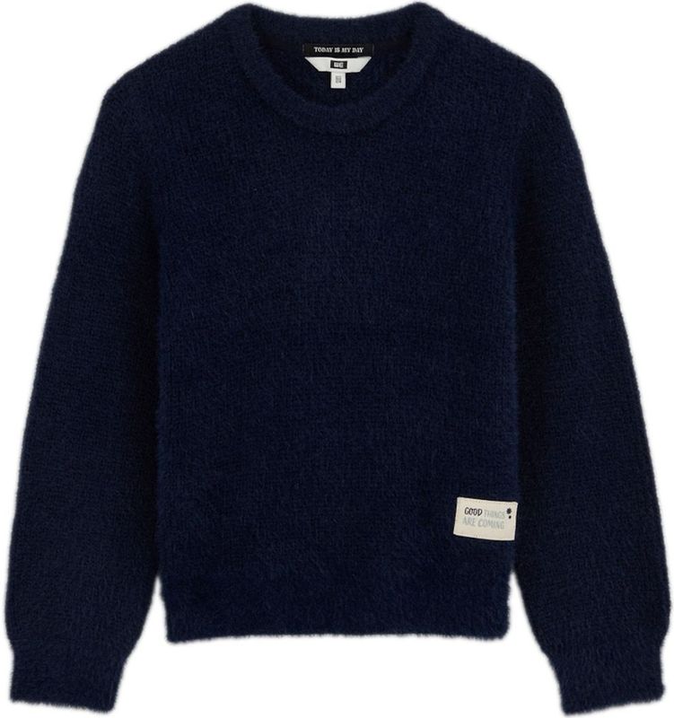 WE Fashion - Gebreide Trui - Lange Mouwen - Ronde Hals - Grof Breisel