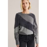 WE Fashion Trui  grijs / donkergrijs