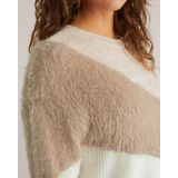 WE Fashion - Dames Trui - Greige - Regular Fit