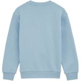 Blue Ridge - Jongens Sweater - Lichtblauw - Regular Fit - Katoen
