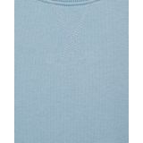 Blue Ridge - Jongens Sweater - Lichtblauw - Regular Fit - Katoen