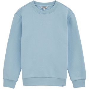 Blue Ridge - Jongens Sweater - Lichtblauw - Regular Fit - Katoen