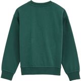 WE Fashion - Blue Ridge - Sweater - Donkergroen