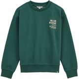 WE Fashion - Blue Ridge - Sweater - Donkergroen