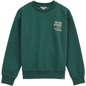 WE Fashion - Blue Ridge - Sweater - Donkergroen