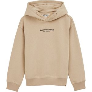 WE Fashion - Blue Ridge - Sweater - Met Capuchon - Voor Jongens