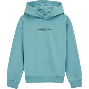 WE Fashion - Blue Ridge - Sweater - Met Capuchon