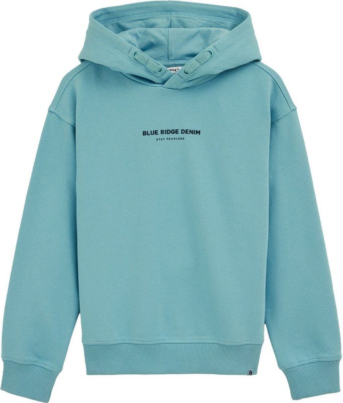 WE Fashion - Blue Ridge - Sweater - Met Capuchon