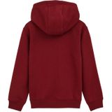 WE Fashion - Blue Ridge - Sweater - Met Capuchon - Lange Mouwen