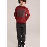 WE Fashion - Blue Ridge - Sweater - Met Capuchon - Lange Mouwen