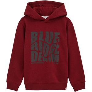 WE Fashion - Blue Ridge - Sweater - Met Capuchon - Lange Mouwen