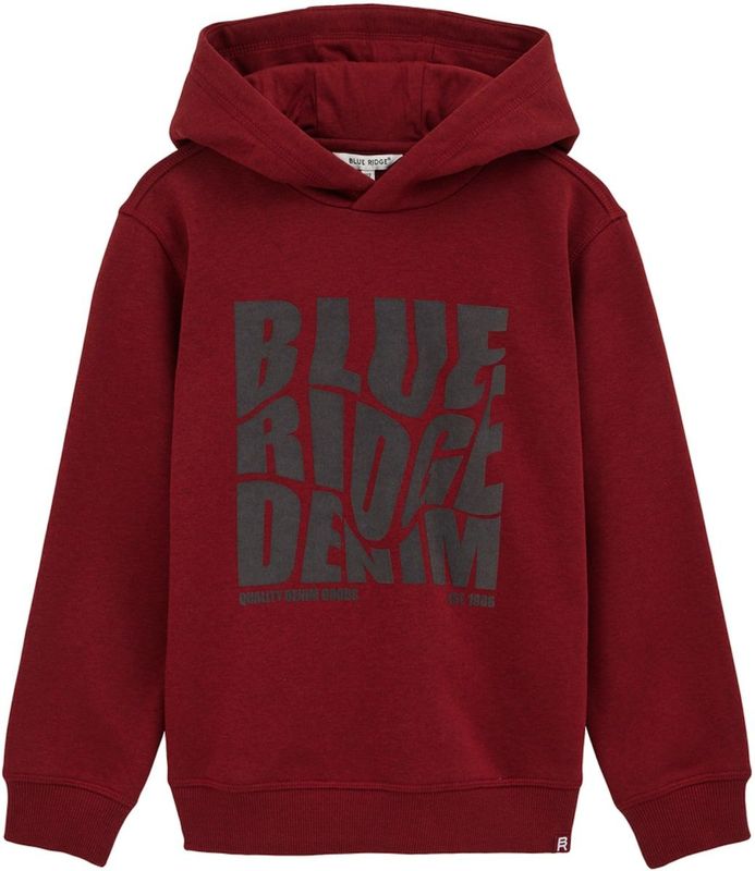 WE Fashion - Blue Ridge - Sweater - Met Capuchon - Lange Mouwen