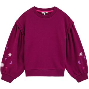 WE Fashion - Sweater - Zacht - Met Lange Ballonmouwen - Ronde Hals