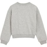 WE Fashion - Sweatshirt - Grijs - Oversized - Lange Mouw