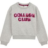 WE Fashion - Sweatshirt - Grijs - Oversized - Lange Mouw