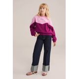 WE Fashion - Sweatshirt - Rosa - Color-Blocking