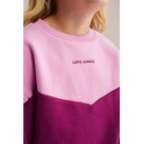 WE Fashion - Sweatshirt - Rosa - Color-Blocking