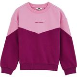 WE Fashion - Sweatshirt - Rosa - Color-Blocking
