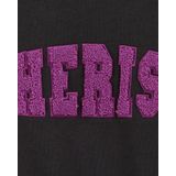 WE Fashion - Sweater - Antraciet