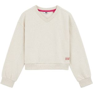 WE Fashion - Sweater - V-hals - Geribde Boorden
