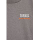 WE Fashion - Blue Ridge - Longsleeve - Grijs