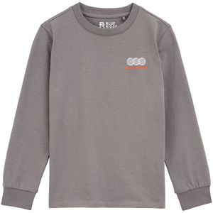 WE Fashion - Blue Ridge - Longsleeve - Grijs