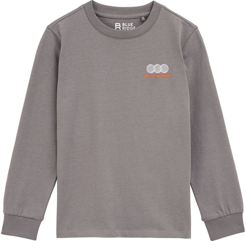 WE Fashion - Blue Ridge - Longsleeve - Grijs