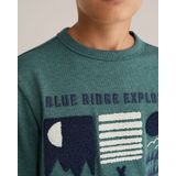 WE Fashion - Blue Ridge - Longsleeve - Groen
