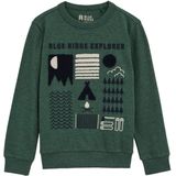 WE Fashion - Blue Ridge - Longsleeve - Groen