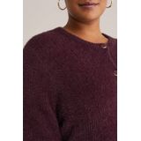 WE Fashion Curve - Cardigan - Donkerrood - Gebreid