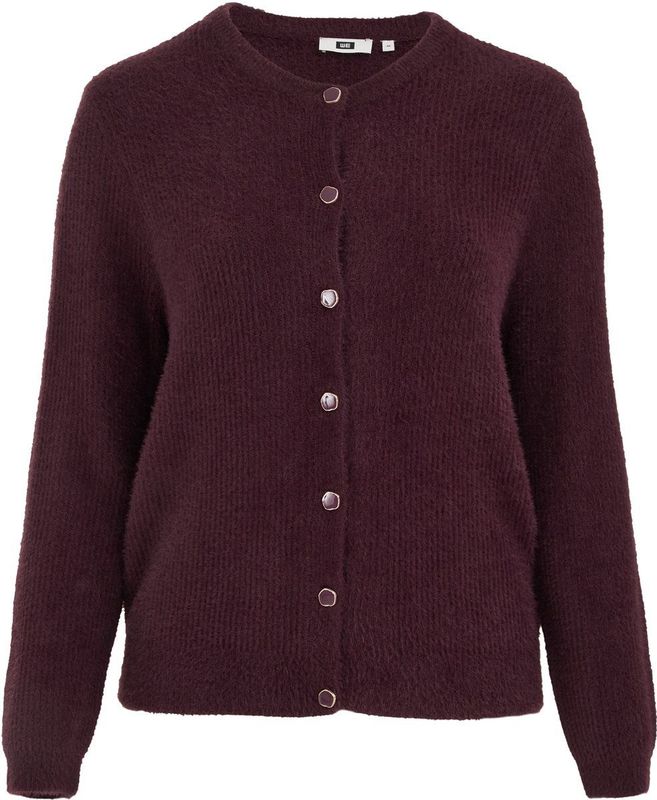 WE Fashion Curve - Cardigan - Donkerrood - Gebreid