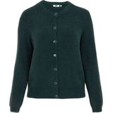 WE Fashion Curve - Cardigan - Donkergroen - Gebreid