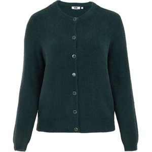 WE Fashion Curve - Cardigan - Donkergroen - Gebreid