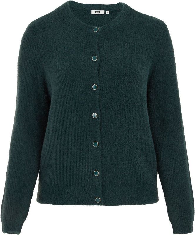WE Fashion Curve - Cardigan - Donkergroen - Gebreid