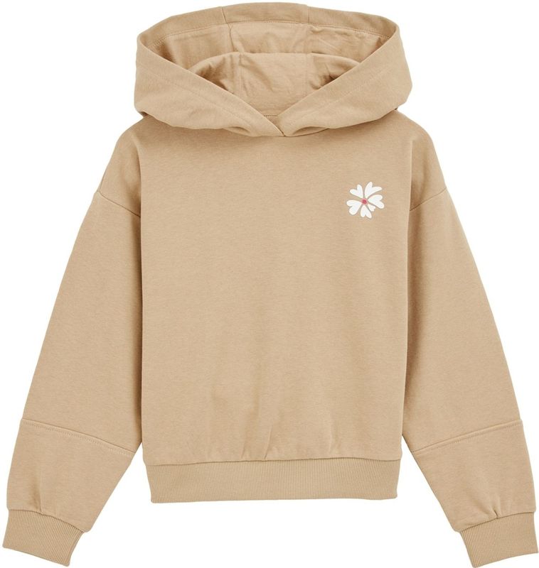 WE Fashion - Oversized Hoodie - Lichtbruin - Katoen