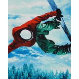 WE Fashion - Shirt - Kobaltblauw Donkergroen Donkerrood Offwhite - Lange Mouw