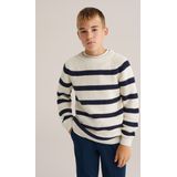 WE Fashion - Gebreide Trui - Regular Fit - Jongens - Met Streep