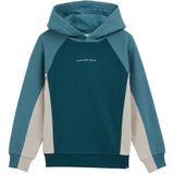 WE Fashion - Blue Ridge - Sweater - Met Capuchon - Meerkleurige Print