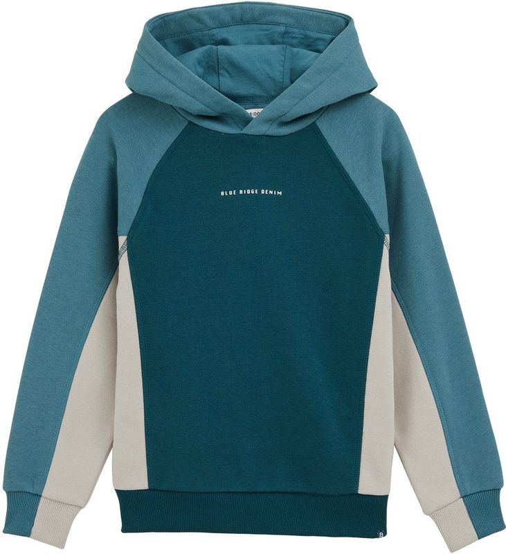 WE Fashion - Blue Ridge - Sweater - Met Capuchon - Meerkleurige Print