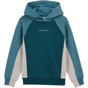 WE Fashion - Blue Ridge - Sweater - Met Capuchon - Meerkleurige Print