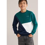 WE Fashion - Blue Ridge - Sweater - Meerkleurig