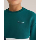 WE Fashion - Blue Ridge - Sweater - Meerkleurig