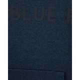 WE Fashion Jongens hoodie met print