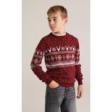 WE Fashion - Jongens trui met print - Regular fit - Donkerrood - Katoen - Maat: 98/104