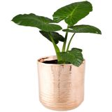 Cosy @ Home Bloempot Cerchio - koperkleurig - keramiek - 13 cm