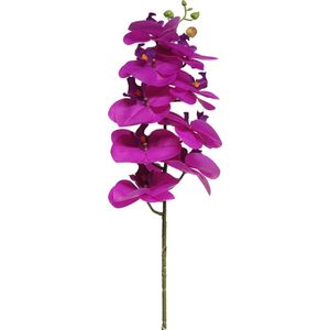 Bellatio Design Kunstbloem Orchidee - fuchsia - 77 cm - losse steel