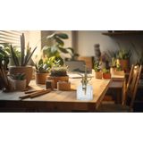 HS Collection Plantenspuit - water vernevelaar - glas - transparant/goud - 16 cm - vintage look